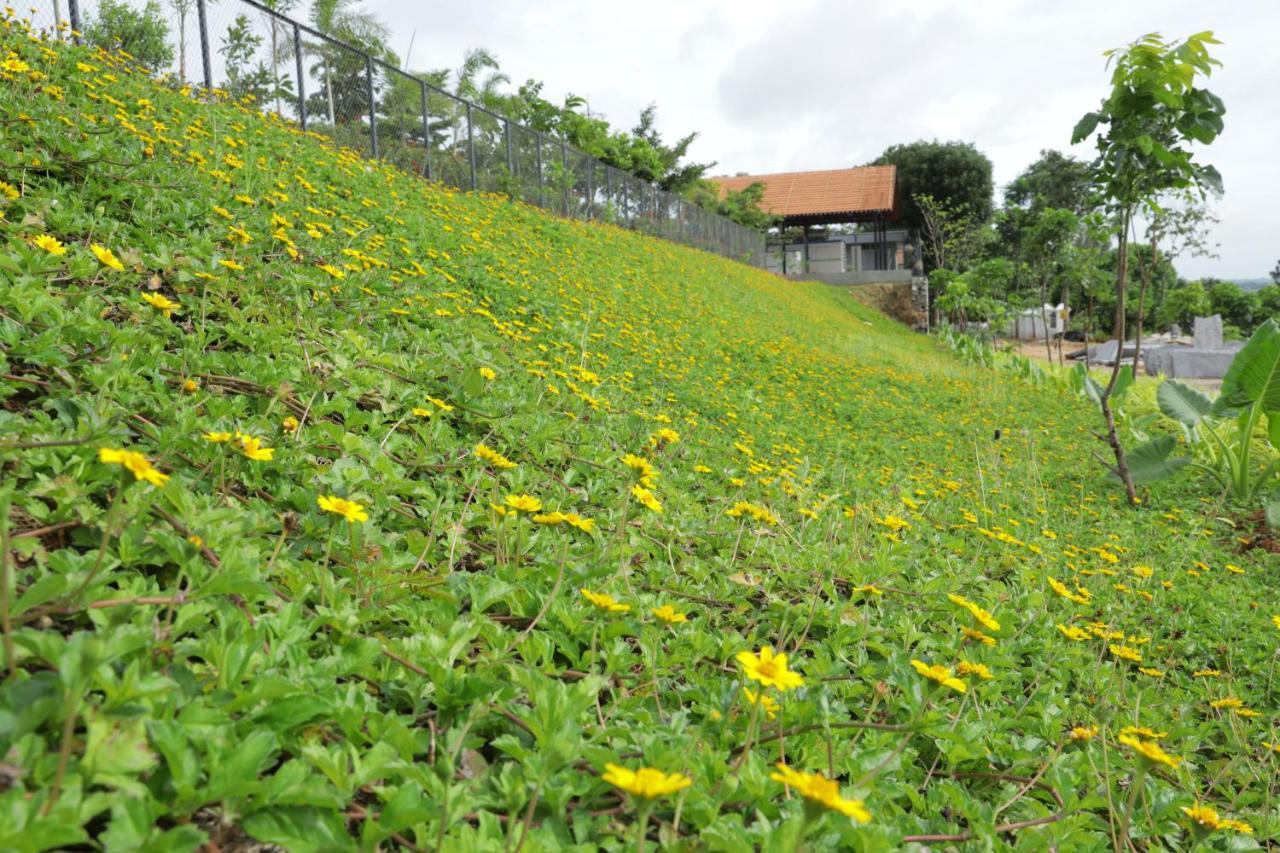 Holiday Valley Hotels And Resorts Denkanikottai Экстерьер фото